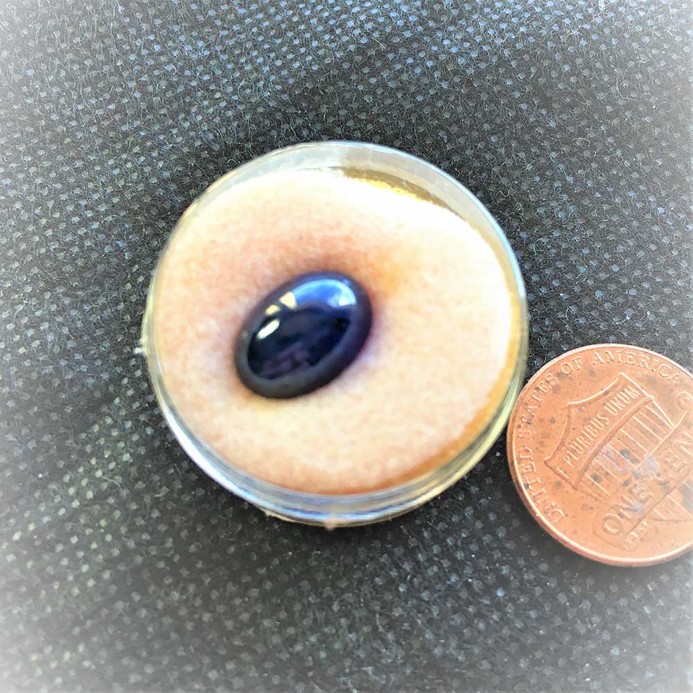 Sapphire Burmese Blue Natural Oval Cabochon 12x8x6mm 6.2ct - Image 7