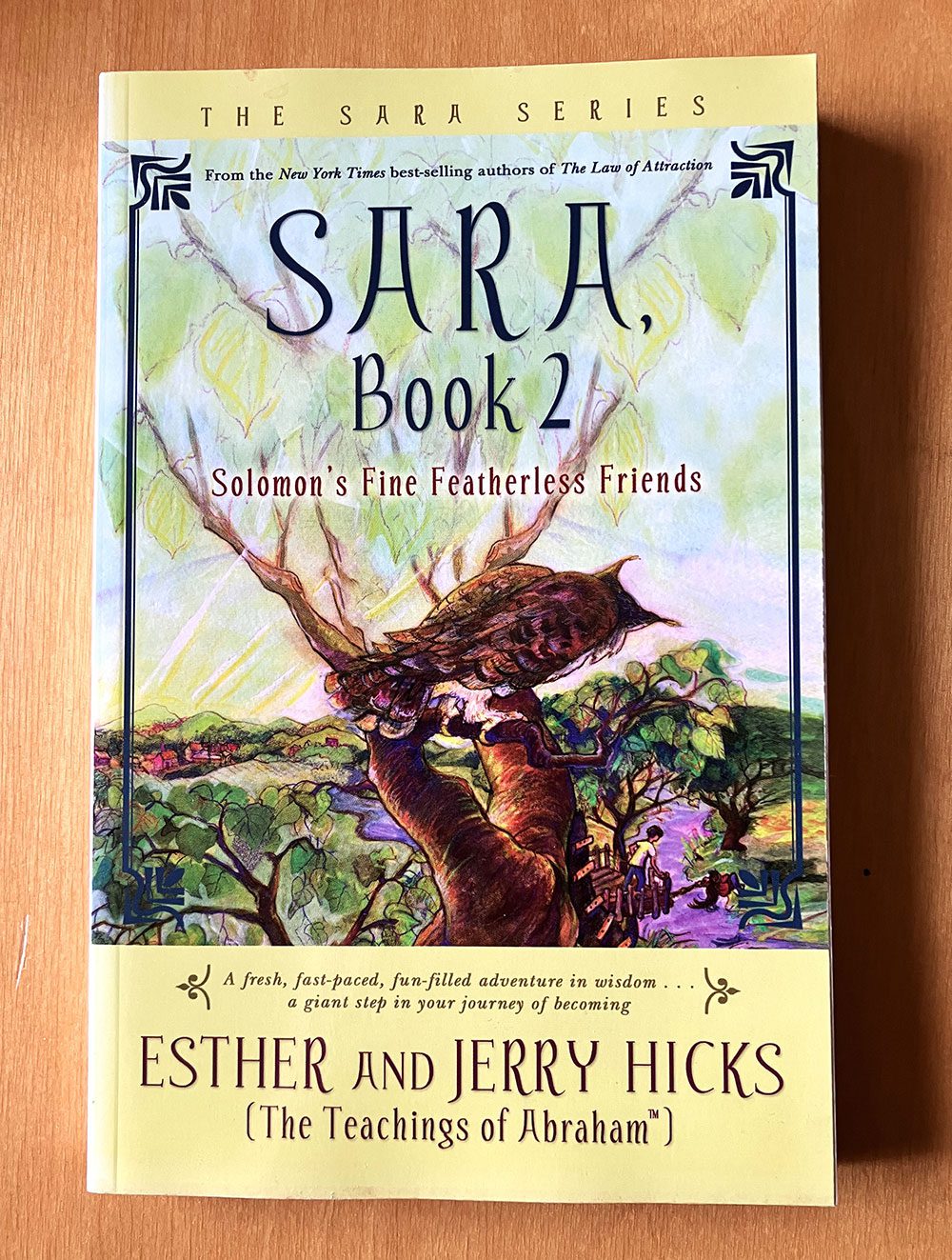 The Sara book series by Jerry Hicks & Esther Hicks, 3 Books 1,2, and 3 - Image 4